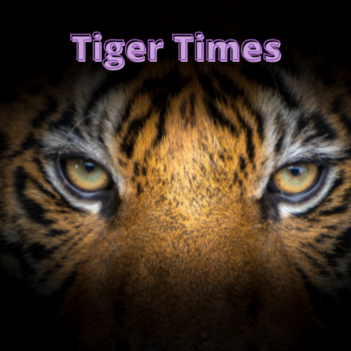Tiger Times ONLINE